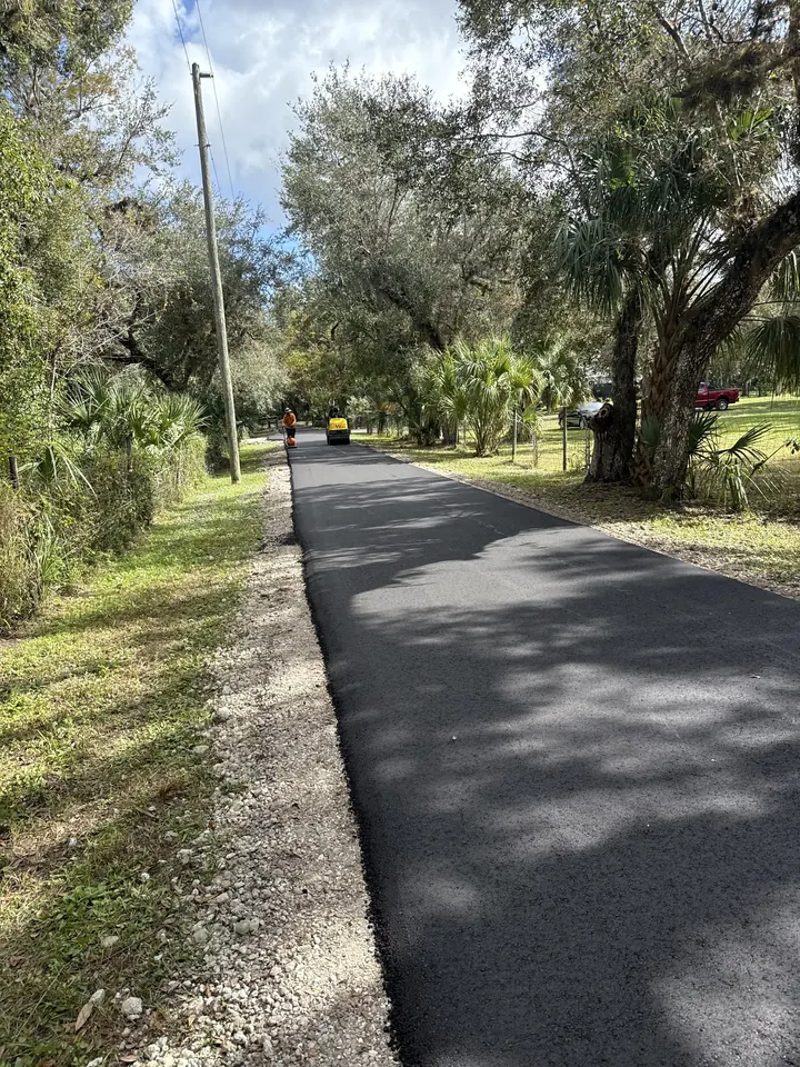 Long new asphalt road running straight through an oak hammock with saw palmettos along both sides